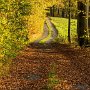 Laufweg