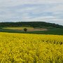 Weites Land